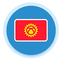 Иконка дубликат гос номера Киргизии